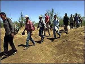 Arizona Illegal Immigration